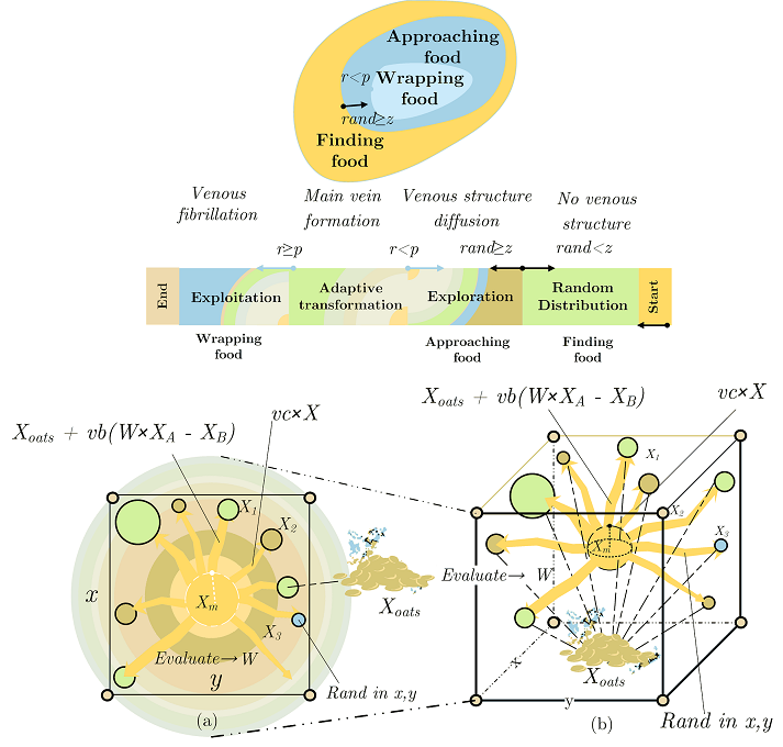 Slime mould algorithm logic